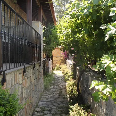 Villa Nirvana *